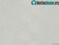 Ảnh Giải mã biểu tượng bí ẩn trên sa mạc Gobi, Trung Quốc
