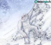 Ảnh Tranh cãi về lông của người tuyết
