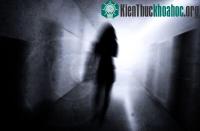 Ảnh Những sai lầm chết người của nhà ngoại cảm