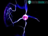 Ảnh Tìm ra nguyên nhân hiện tượng kì lạ nhất của tự nhiên
