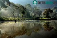 Ảnh Vườn quốc gia Gunung Mulu