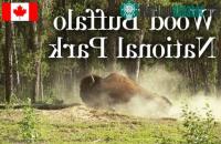 Ảnh Vườn quốc gia Wood Buffalo - Canada