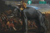 Ảnh Giải mã cuộc hành trình "không tưởng" của danh tướng Hannibal