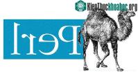 Ảnh 18/12/1987-Larry Wall phát hành phiên bản đầu tiên của ngôn ngữ lập trình Perl