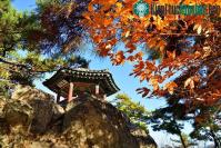 Ảnh Khu di tích vương triều Baekje