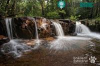 Ảnh Khu quần thể rừng Dong Phaya Yen – Khao Yai