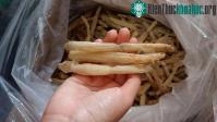 Ảnh Cách phân biệt sá sùng Quảng Ninh và sá sùng Trung Quốc