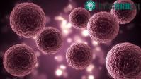 Ảnh Tìm ra vũ khí mới chống lại siêu vi khuẩn kháng kháng sinh