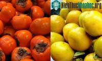 Ảnh Cách phân biệt hồng Việt Nam và hồng Trung Quốc chuẩn không cần chỉnh