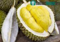Ảnh Chiêu phân biệt sầu riêng chín bằng hóa chất ít ai biết