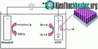 Ảnh Pin nhiên liệu làm sạch nước và tạo ra điện