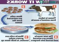 Ảnh Tạo thịt mà không cần giết mổ gia súc