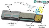 Ảnh Máy tạo oxy siêu nhỏ giúp tăng hiệu quả chữa trị ung thư kỵ khí