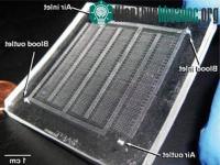 Ảnh Phổi nhân tạo