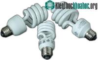 Ảnh Có thể dùng bóng đèn để truyền tín hiệu Internet?