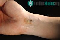 Ảnh Thiết bị điện tử kết nối bộ não với máy vi tính