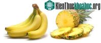 Ảnh Chế tạo vật liệu làm siêu xe từ hoa quả