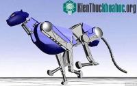 Ảnh Người máy sẽ ra chiến trường
