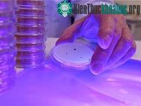 Ảnh Hệ thống chiếu sáng khử trùng