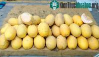 Ảnh Cách nhận biết dưa lưới vàng Trung Quốc