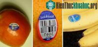 Ảnh Đừng bao giờ mua những loại trái cây có mã code bắt đầu bằng số 8