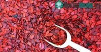 Ảnh Cách chọn hạt dưa không bị nhuộm màu hóa chất