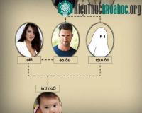 Ảnh Bí ẩn người đàn ông là bố đẻ nhưng không phải cha ruột