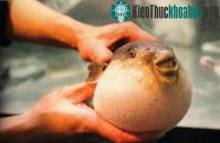 Ảnh 7 món hải sản phổ biến nhưng cực kì nguy hiểm