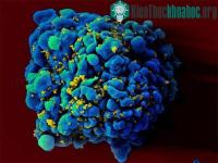 Ảnh Đã tìm ra vắc xin phòng HIV?