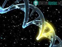 Ảnh Bill Gates, Google hỗ trợ nghiên cứu chỉnh sửa DNA để chữa các bệnh di truyền