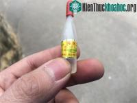 Ảnh Hóa chất thúc chín trái cây độc cỡ nào?