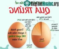 Ảnh Bất ngờ thú vị về quả trứng