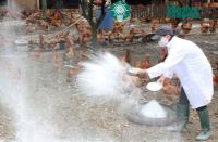 Ảnh Phát hiện virus cúm A/H5N6 trên động vật ở Lạng Sơn và Hà Tĩnh