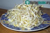 Ảnh 6 lý do nên ăn giá đỗ thường xuyên
