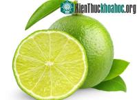 Ảnh Cách chọn chanh tươi không nhiễm độc