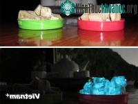 Ảnh Quảng Ninh: Giò lụa phát sáng bất thường trong đêm