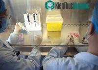 Ảnh Đã có thuốc có khả năng điều trị cúm gia cầm H7N9