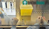 Ảnh Mỹ chuẩn bị bào chế vắcxin kháng virus cúm H7N9