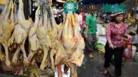 Ảnh Ca tử vong thứ 9 do nhiễm H5N1 ở Campuchia