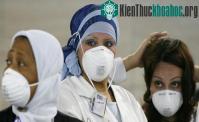 Ảnh Virus cúm mới lây từ người qua người