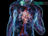 Ảnh Tái lập trình tế bào
