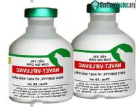 Ảnh Tháng 3/2012: Ra mắt vắc-xin H5N1 cho gia cầm