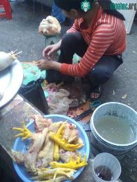 Ảnh Dịch cúm H5N1 đã quay trở lại