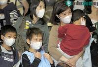 Ảnh Chủng virus mới từ virus cúm lợn, cúm gia cầm