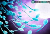 Ảnh Tìm thấy gen vô sinh ở nam giới