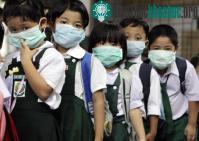 Ảnh Virus H5N1 biến đổi có thể lây từ lợn sang người