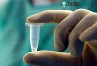 Ảnh WHO: Một liều vắc xin chống cúm A/H1N1 sẽ lên tới 20USD