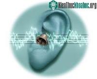 Ảnh Những liệu pháp mới điều trị bệnh ù tai