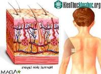 Ảnh 10 điều bạn chưa biết về làn da