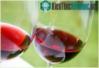 Ảnh Uống nửa cốc rượu mỗi ngày có thể tăng tuổi thọ thêm 5 năm